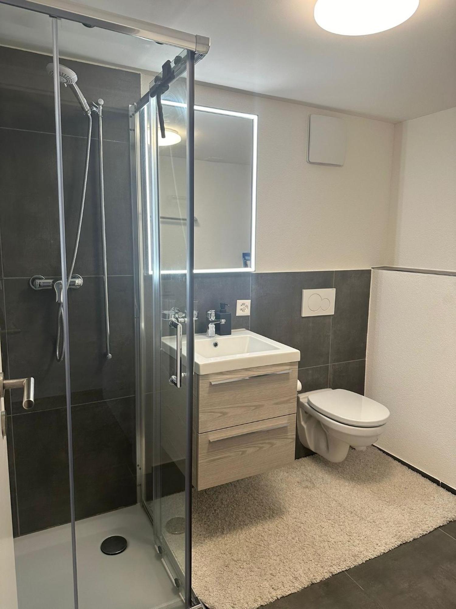 Stilvolle 2,5 Zimmer Wohnung St. Gallen Kültér fotó